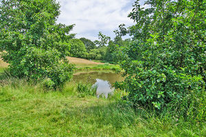 Photo 17- click for photo gallery